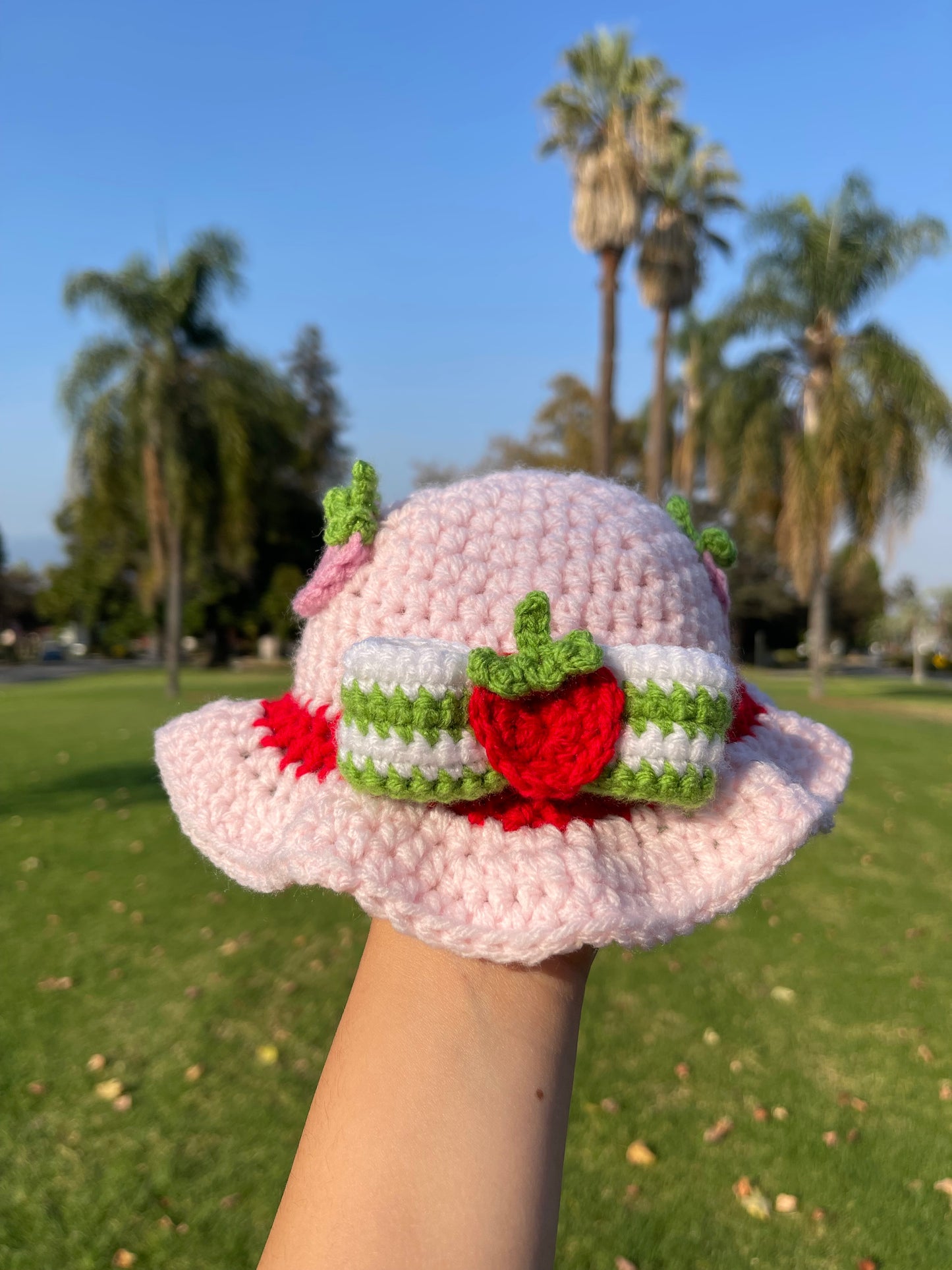 Crochet Strawberry Shortcake Kit (Baby Size)