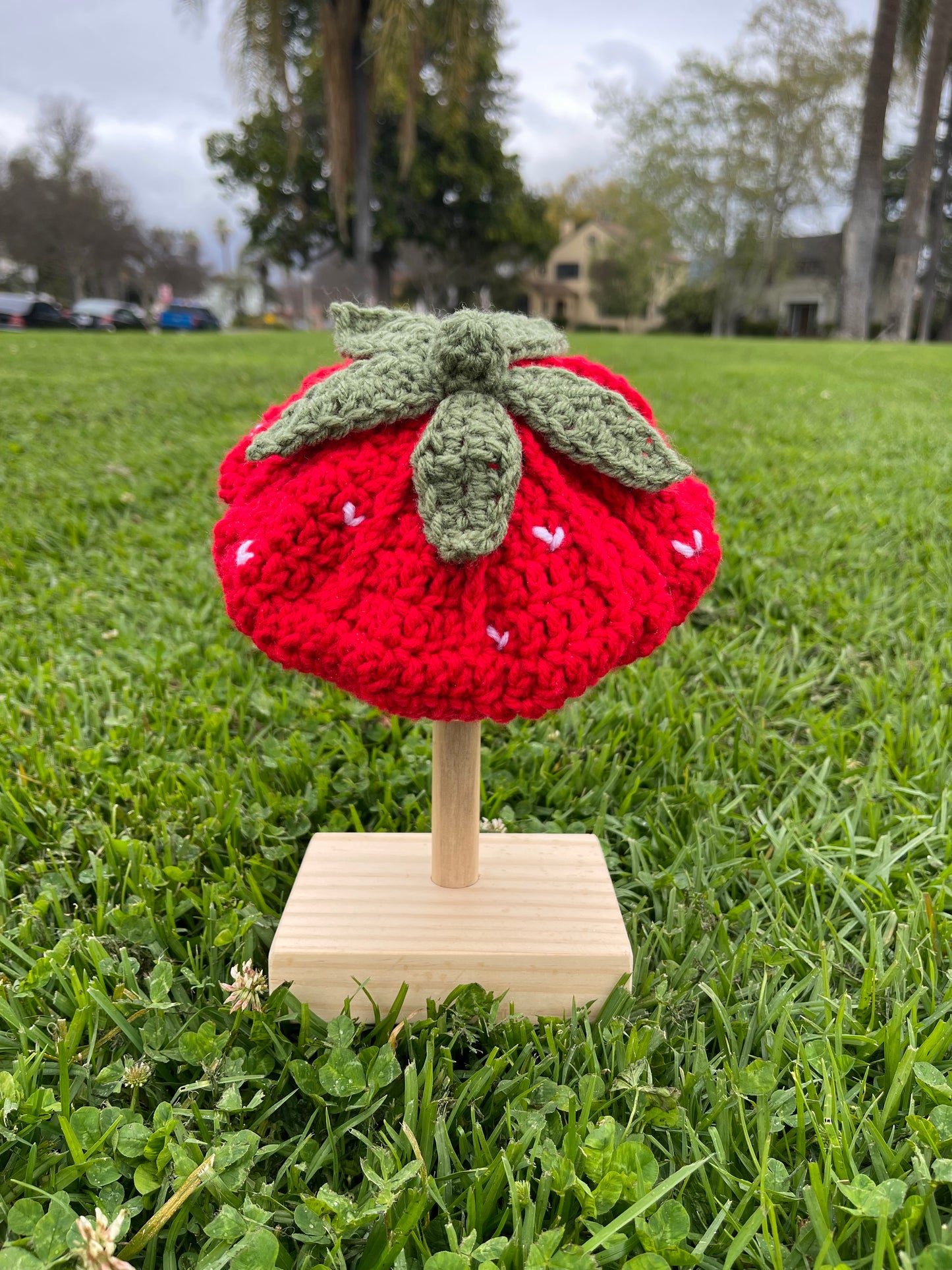 Crochet Strawberry Beret (Baby Size)