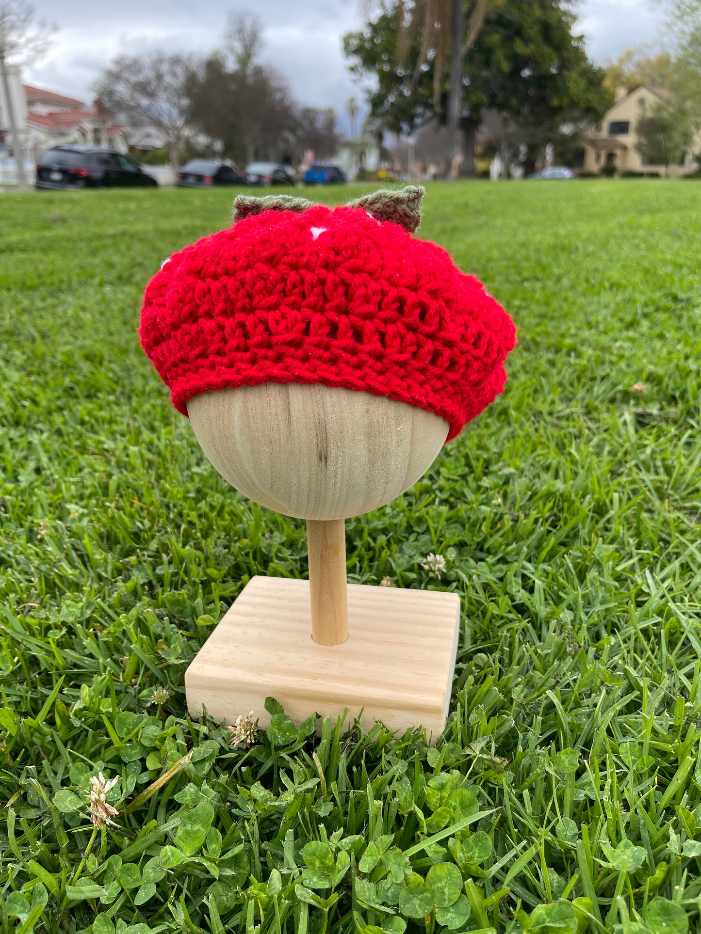 Crochet Strawberry Beret (Baby Size)