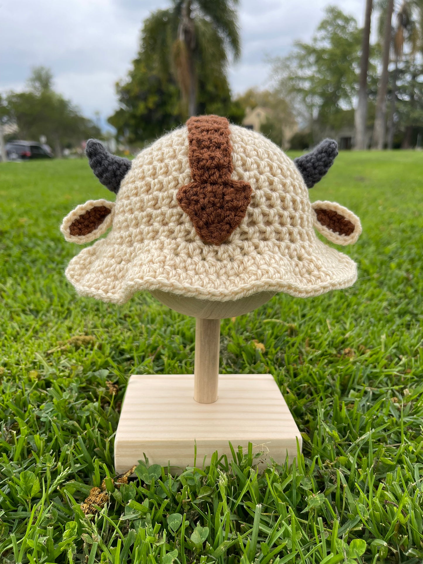 Crochet Appa Hat (Baby Size)